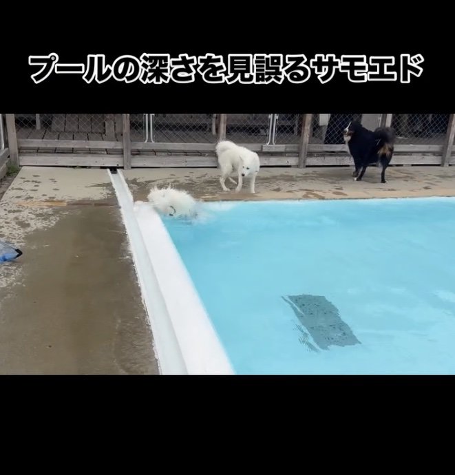 ボン！