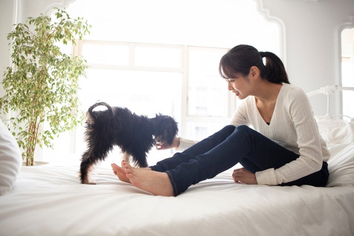 女性と犬