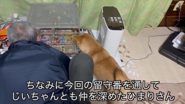 おじいちゃんと鳥を見る