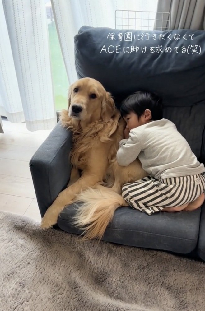 ACEくん「どうしよう…」