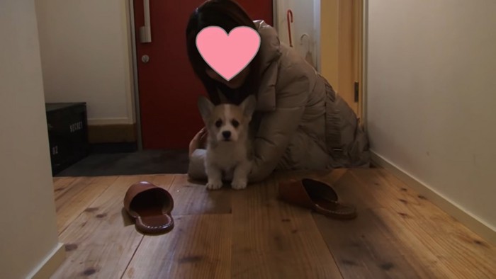 玄関の女性と犬