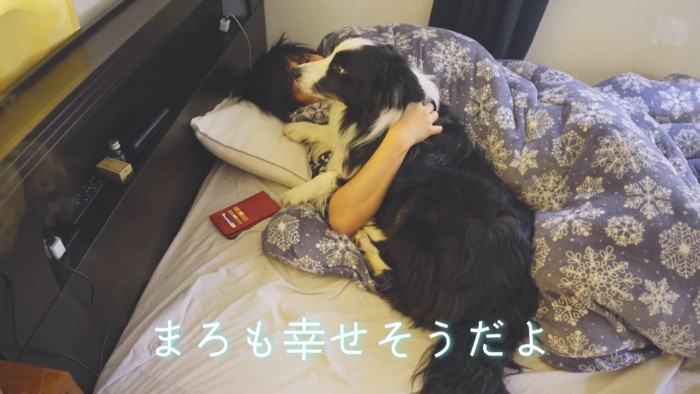 まろ君も一緒に寝る気満々!?