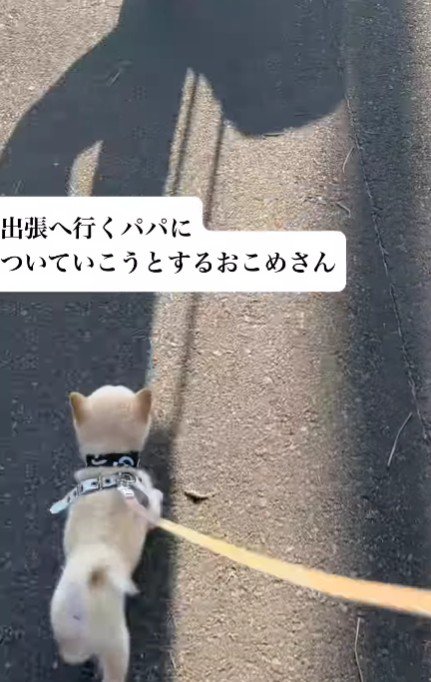 「パパどこ行くの？」