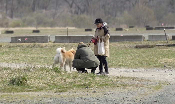原っぱで散歩をする犬と家族