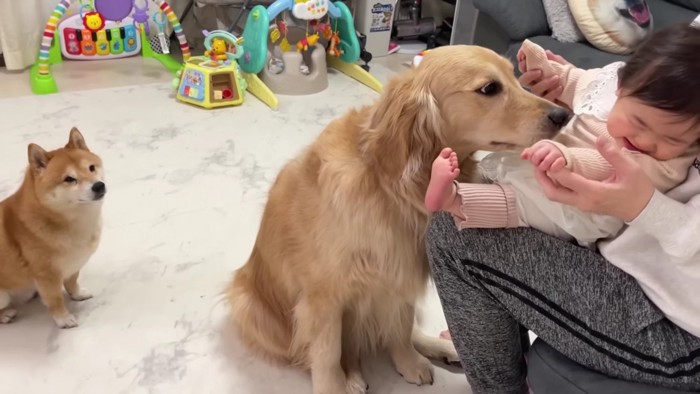 ほっと安心した様子