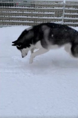 勢いよく