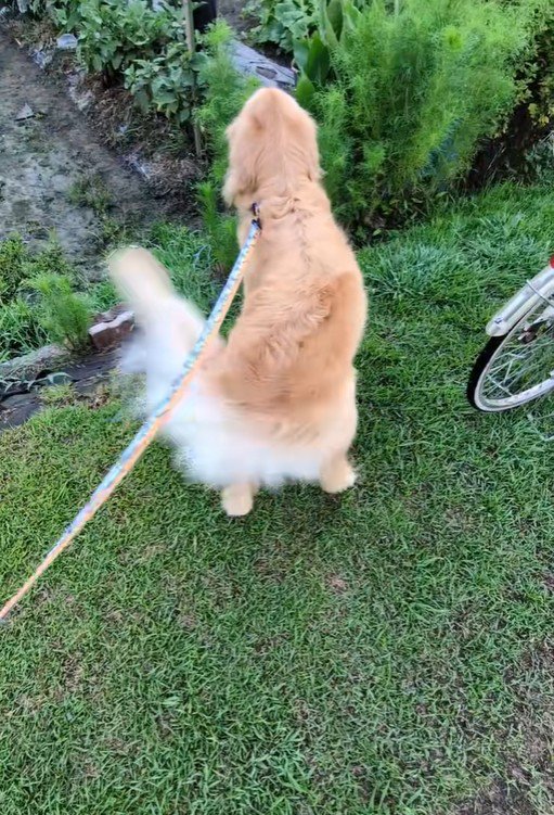 「おばあちゃん、お久しぶり～っ」