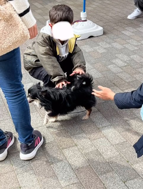 新しい犬生に向けて…