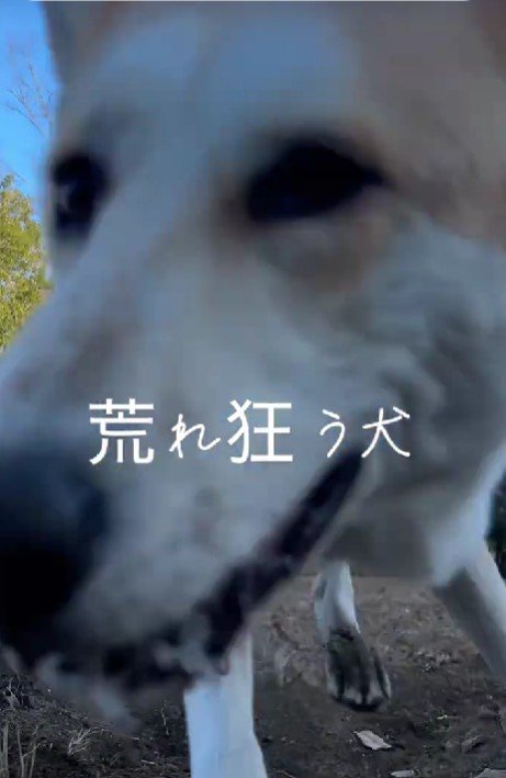 なんでも出来ちゃう♡