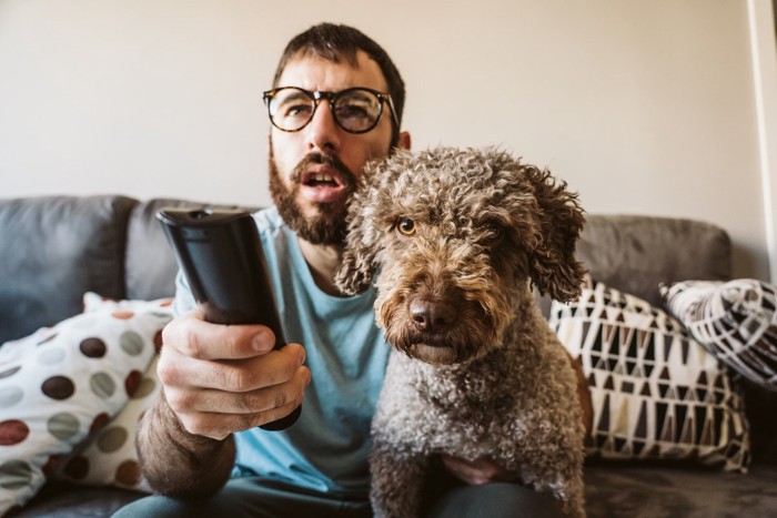 男性とTVを見つめる犬