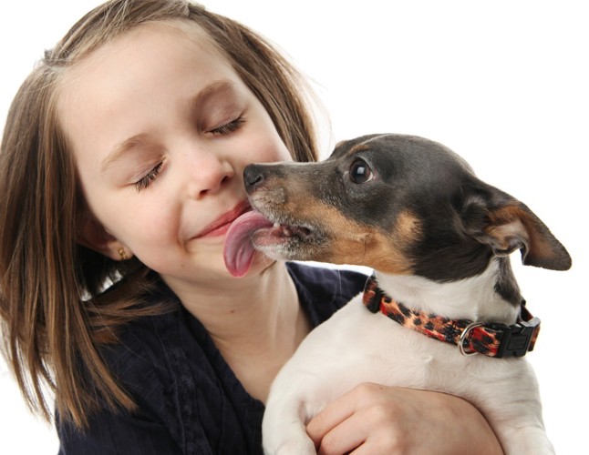 犬の愛情表現