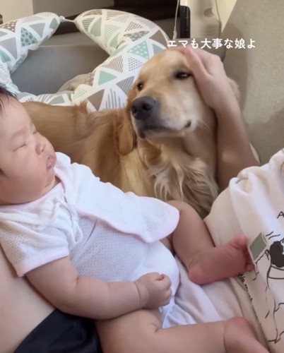 赤ちゃんのそばで撫でられる犬