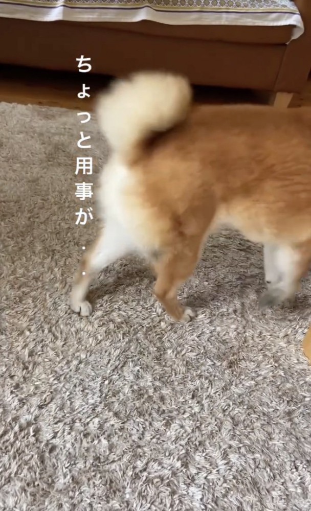 逃走