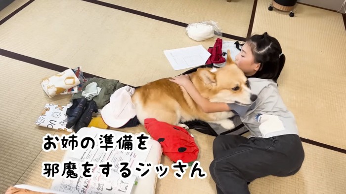 お姉ちゃんのことが大好き
