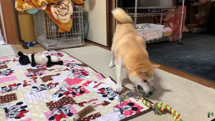 おもちゃに八つ当たり