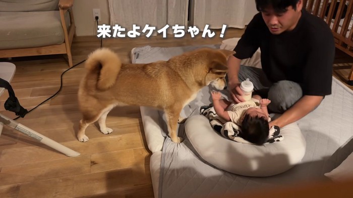 パパがミルクをあげます