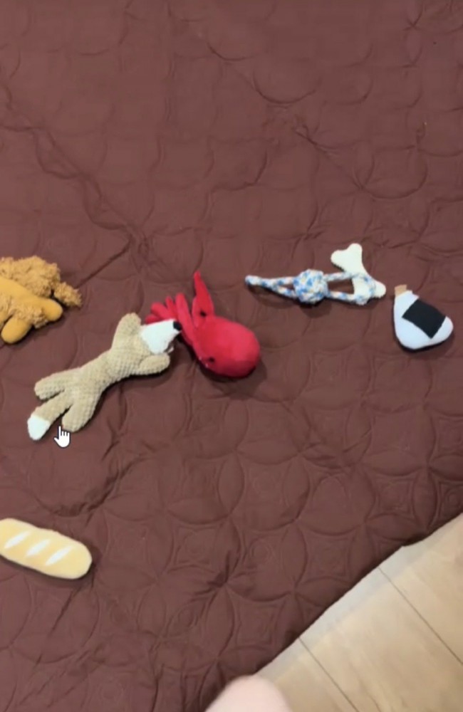 床に散らばったおもちゃ