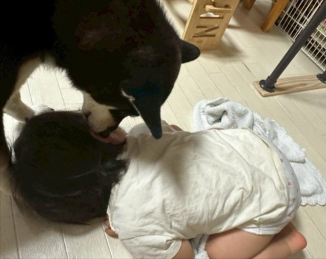 優しい