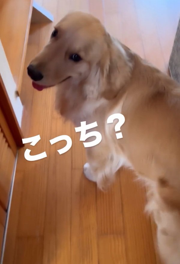 左を振り向く福ちゃん