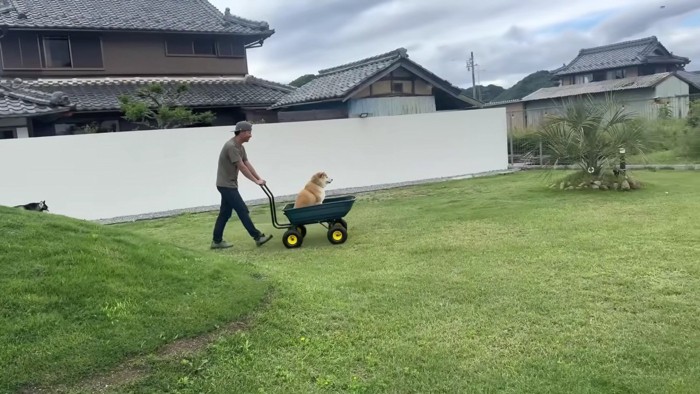 優雅に庭を周遊