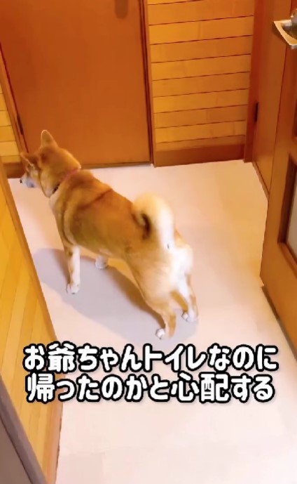 なんだか不安そう