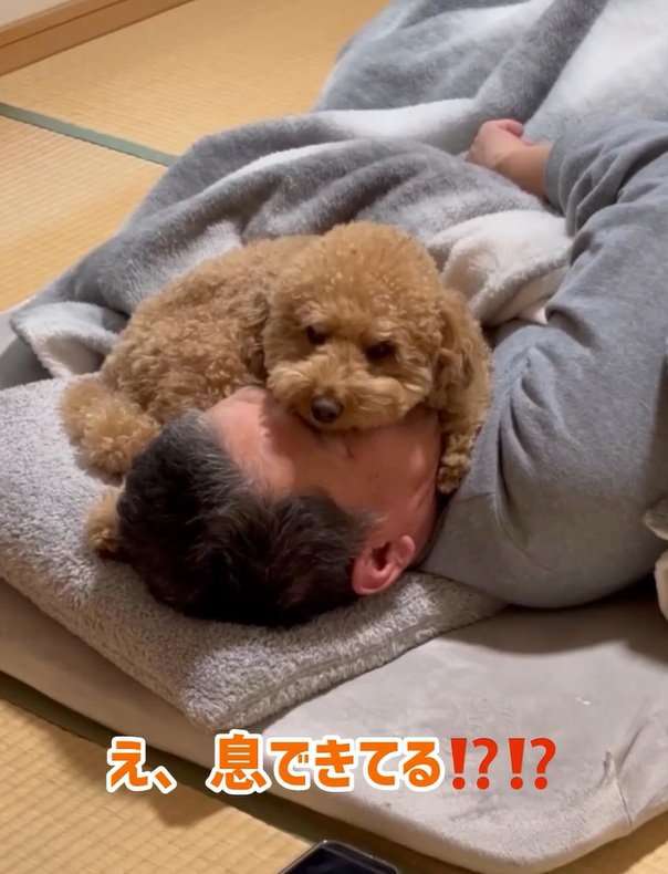 お父さんの上に乗るちゃこたろう君3