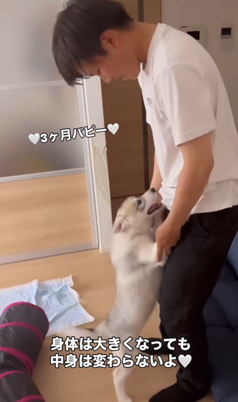 イヴちゃんとお兄ちゃん3