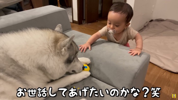 もんちゃんが気になる…