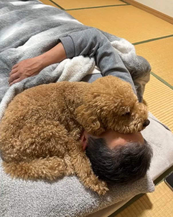 お父さんの上に乗るちゃこたろう君4