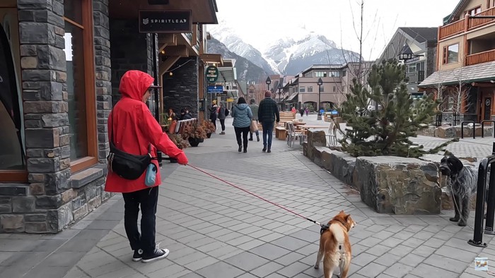 ナラちゃんとバンフの町