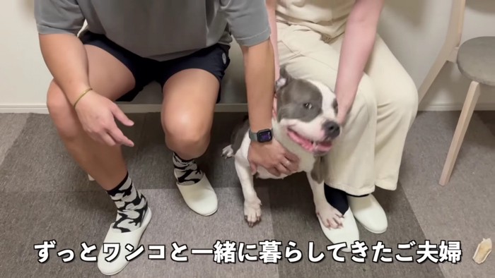あるご夫婦がレンちゃんに会いに来た