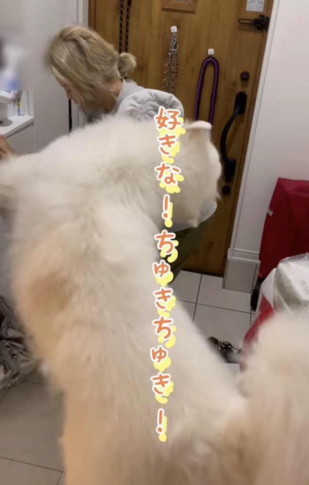 愛が止められない