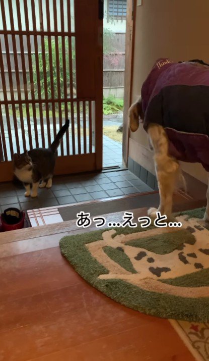 「あ…えっと…」