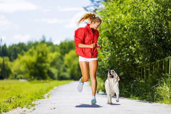 ジョギングをする犬と女性