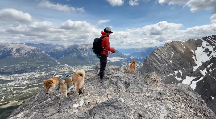 山頂でそれぞれ景色を楽しむ家族たち
