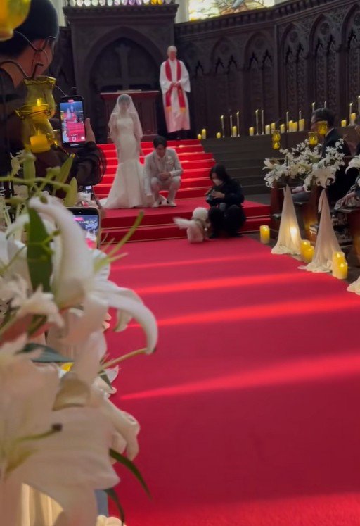 ミロちゃんがリングドッグに挑戦9