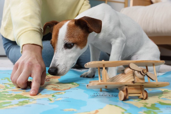 地図を指差す飼い主と覗く犬