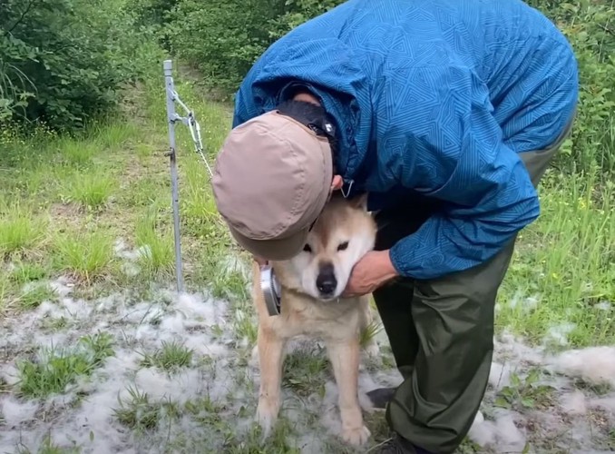 首を持たれる犬