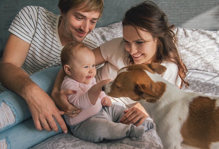 赤ちゃんと触れ合う犬を見守る夫婦