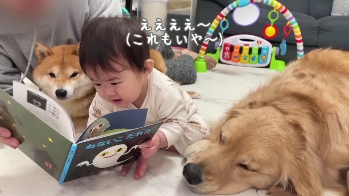 ほのちゃんも集中しだした！