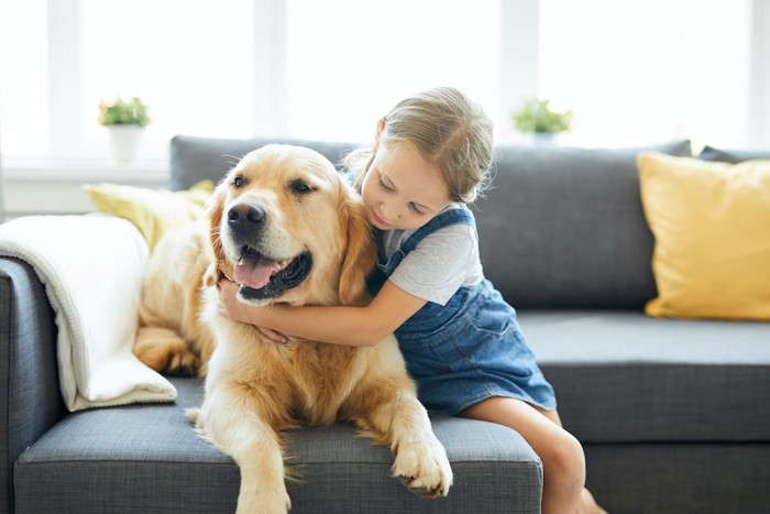 ソファーでくつろぐ犬に抱きつく女の子