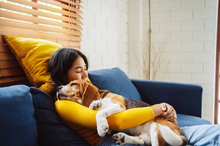 女性の腕の中で寝ている犬