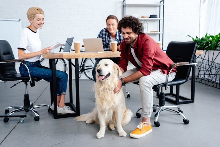 オフィスでミーティング中に犬を撫でる男性