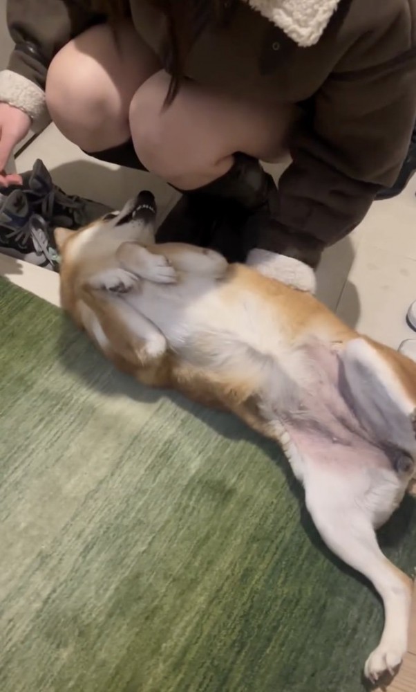 なでてー