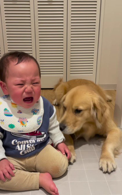 手をペロペロ
