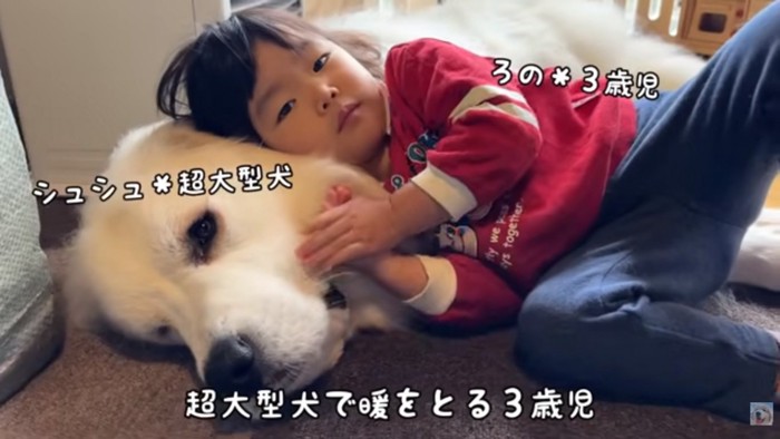 シュシュちゃんとろのちゃん