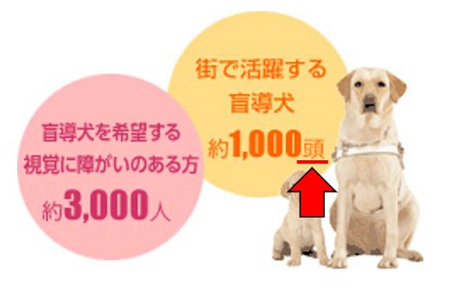 日本法人盲導犬協会の資料