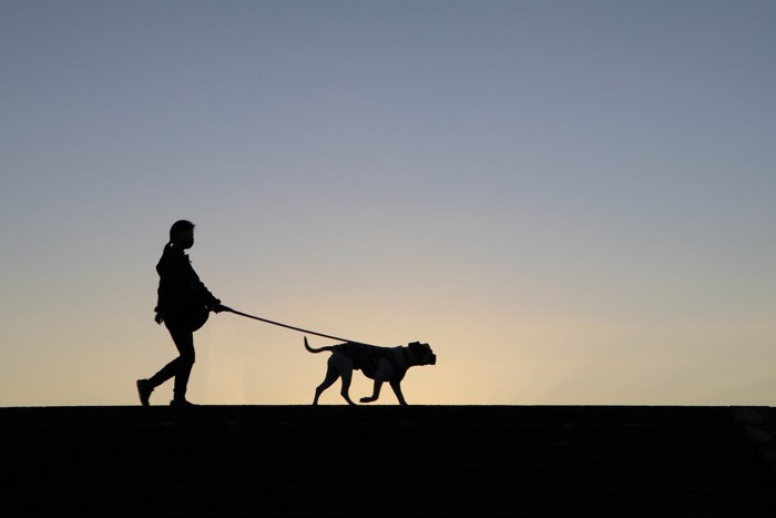 犬と女性の散歩のシルエット