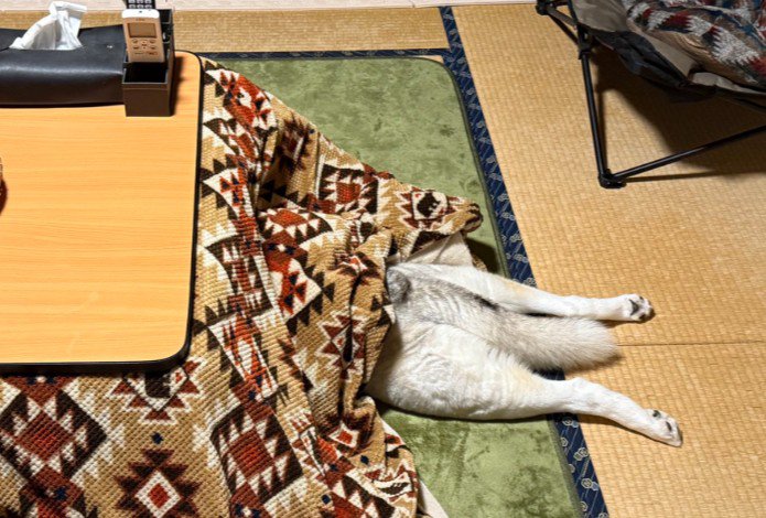 「アジの開き」のよう…