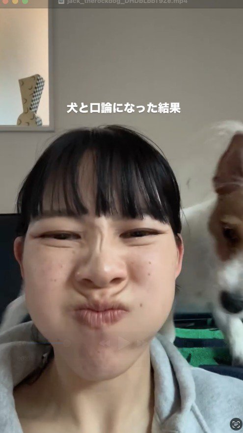 飼い主を背後から見つめる犬